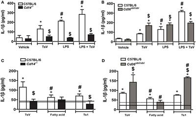 CD36 Shunts Eicosanoid Metabolism to Repress CD14 Licensed Interleukin-1β Release and Inflammation